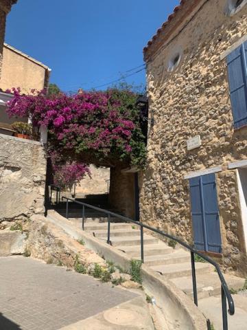 L'Olivier De Nonna Apartment Gruissan Bagian luar foto