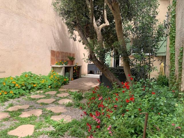 L'Olivier De Nonna Apartment Gruissan Bagian luar foto