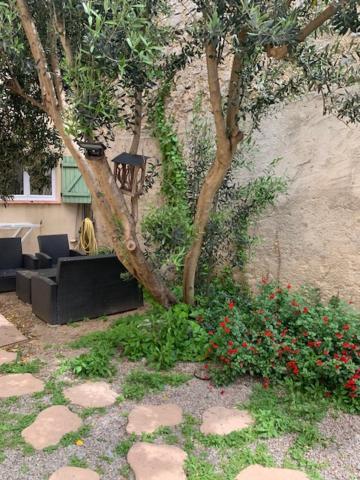 L'Olivier De Nonna Apartment Gruissan Bagian luar foto